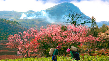 Detailed reviews on top best things to do in Ha Giang, Vietnam