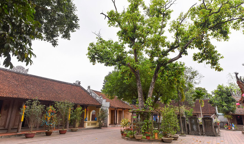Tay Phuong Pagoda is not only an historical site with valuable architecture, but also a scenic spot in Hanoi