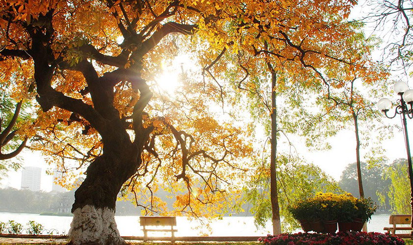 The charming beauty of Hanoi in the autumn