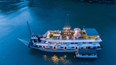 Swan Cruise