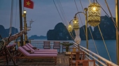 Violet Junk on Halong Bay