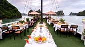 Swan Cruise