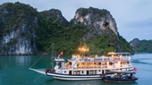Swan Cruise