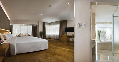  Executive Suite with Spa Package and Free Mini-bar