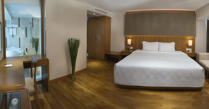  Deluxe Room (No View) with Daily Spa
