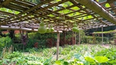 Ecolodge Pan Hou Village