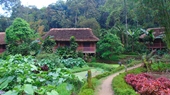 Ecolodge Pan Hou Village