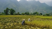  Mai Chau Countryside Homestay