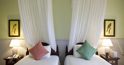 Deluxe Double or Twin Room with Garden View