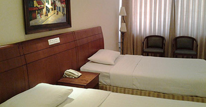  Superior Double or Twin Room with Mountain View