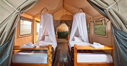  Tent with Lake View