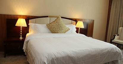  Classic Single Room