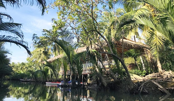 Ba Danh Home