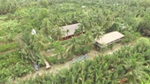 Ba Danh Home