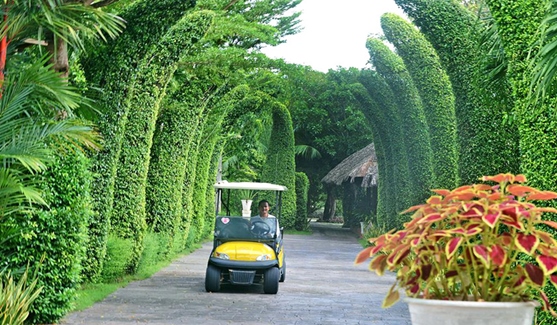 Forever Green Resort