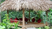 Ban Hieu Garden Lodge