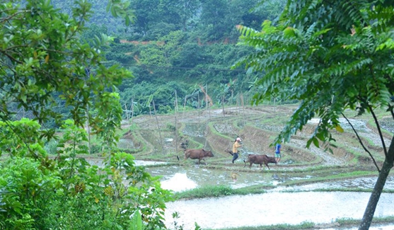 Pu Luong Nature Lodge