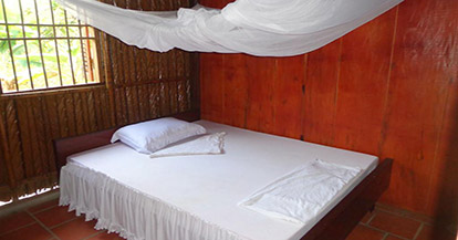 VIP Double Room