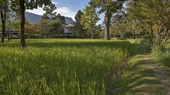 The River Resort Champasak