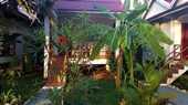 Gecko village Kampot