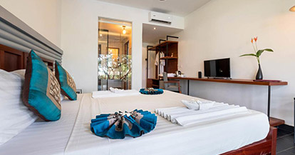  Superior Double or Twin Room