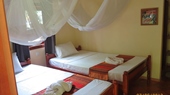 Botanica Guesthouse