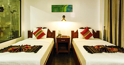  Deluxe Twin Room