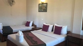 Avocado Guesthouse Mondulkiri