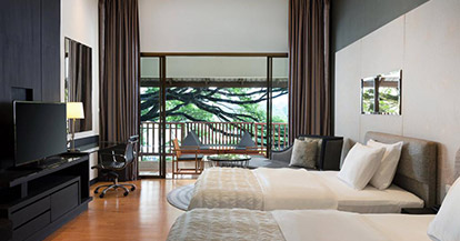  Deluxe Garden View, Guest room, 2 Twin/Single Bed(s)