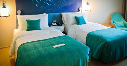  Deluxe Double or Twin Room