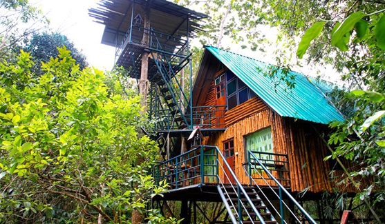 Resort Khaosok Treehouse Resort