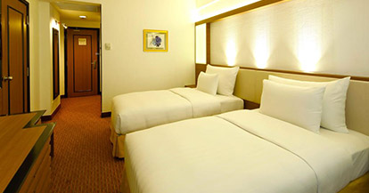 Deluxe Twin Room